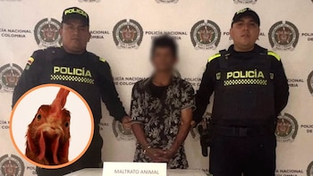 Sorprenden a un hombre cometiendo presuntos actos sexuales con una gallina en Tolima: el insólito hecho indignó a la comunidad