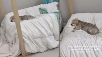 La duración del duelo, al