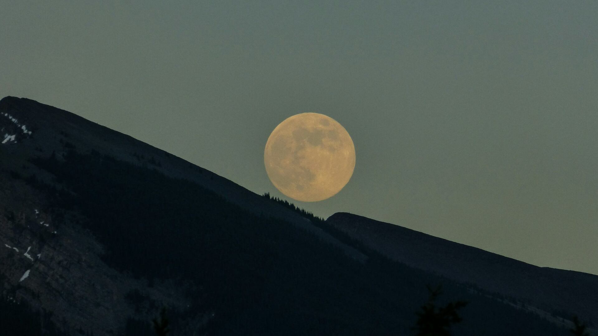 En noviembre, el plenilunio coincide con el inicio de la construcción de refugios por parte de los castores antes del invierno (Unsplash)