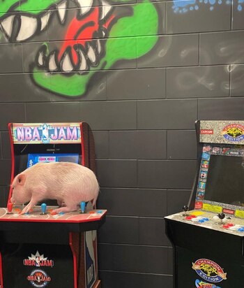 Penny cuenta con miles de