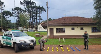 En dos operativos llevados a