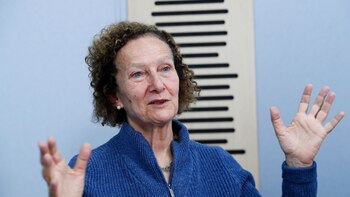 Gobierno quiere una "extensión técnica"