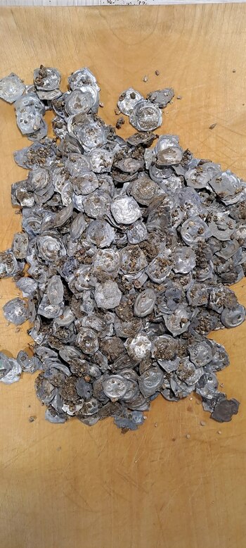 La conservación de estas monedas