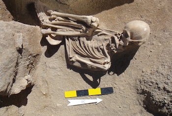 Investigadoras argentinas que estudian las