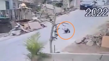 Perrito es arrollado y fallece.
Foto: