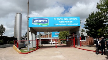 Una de las plantas de