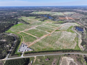 Imagen 5JJ3PJT3DRE6RNHEGNUIGCWSAA