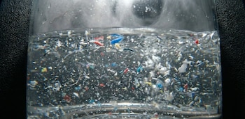 Análisis recientes confirman que, al