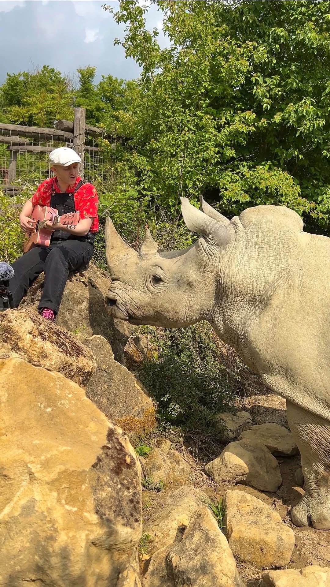 Plumes ofrece conciertos íntimos en reservas naturales, donde los animales reaccionan con calma y curiosidad ante la música