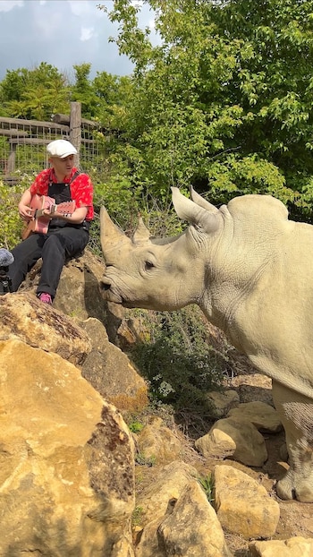 Plumes ofrece conciertos íntimos en