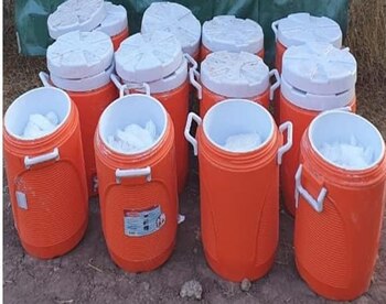 La sustancia fue hallada dentro