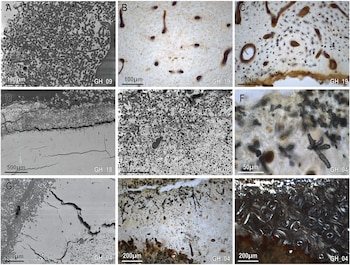 Nueve micrografías (A-I) muestran estructuras internas de una muestra, con barras de escala de 50, 100 y 500 micrómetros, e identificadores de muestra como GH_09 y GH_04