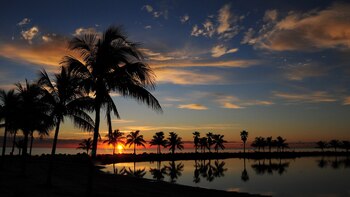 Matheson Hammock Park, un espacio