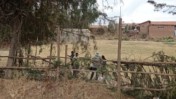 Construcciones en Saqsaywaman: cuatro estructuras fueron instaladas sin autorización y Cultura Cusco paralizó los trabajos en el lugar