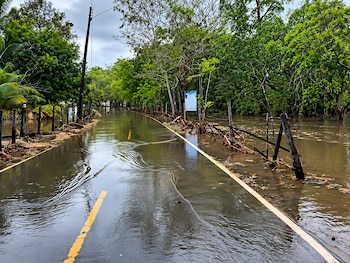 El Gobierno de Panamá evalúa trasladar a tierra firme a los aproximadamente 600 habitantes de Isla Cañas, ante las inundaciones registradas después del terremoto del 9 de octubre. Captura de video de Instagram