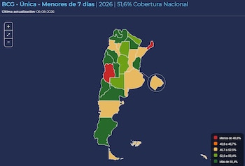 La plataforma del Ministerio de Salud permite comparar la cobertura provincia por provincia, identificando brechas territoriales y áreas con menor inmunización (Min de Salud)