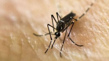 Para minimizar el riesgo de