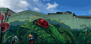Además de la intervención vial, el entorno recibió 3.642 metros cuadrados de arte sobre fauna y flora de Bogotá y la Sabana, elaborados por 30 artistas del colectivo Dmental Graffiti Pro - crédito IDU