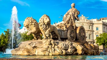 La belleza del día: “La