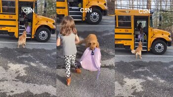 TikTok: Cute video of a