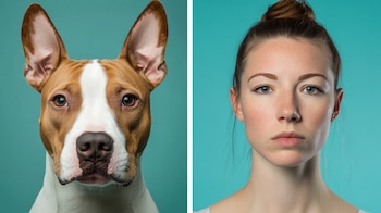 (Imagen Ilustrativa Infobae)