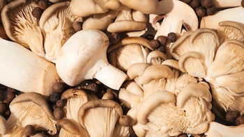Los nutricionistas coinciden: las setas traen beneficios para la microbiota intestinal gracias a su fibra y sus antioxidantes