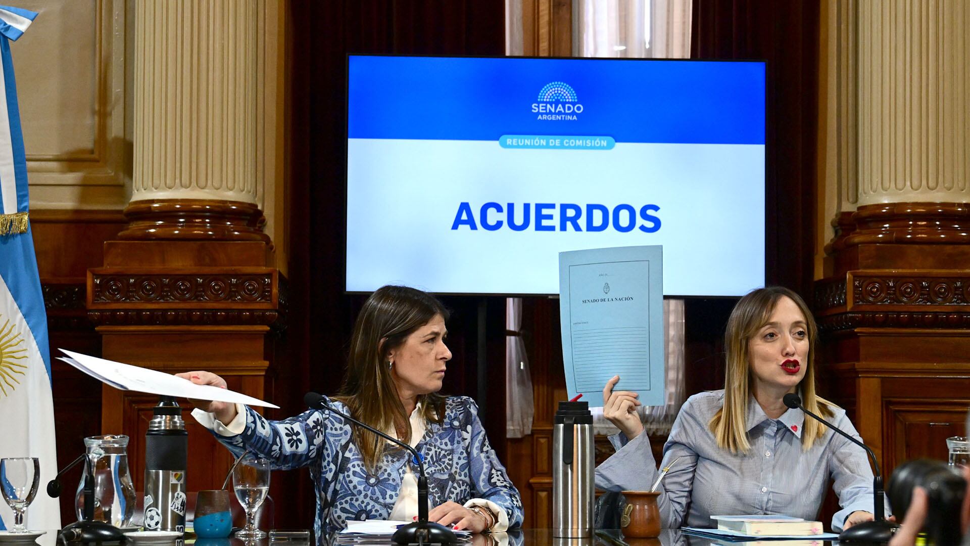 Espadas en el Senado. Las senadoras Tagliaferri (PRO) y Fernández Sagasti (UP) (foto Maximiliano Luna)