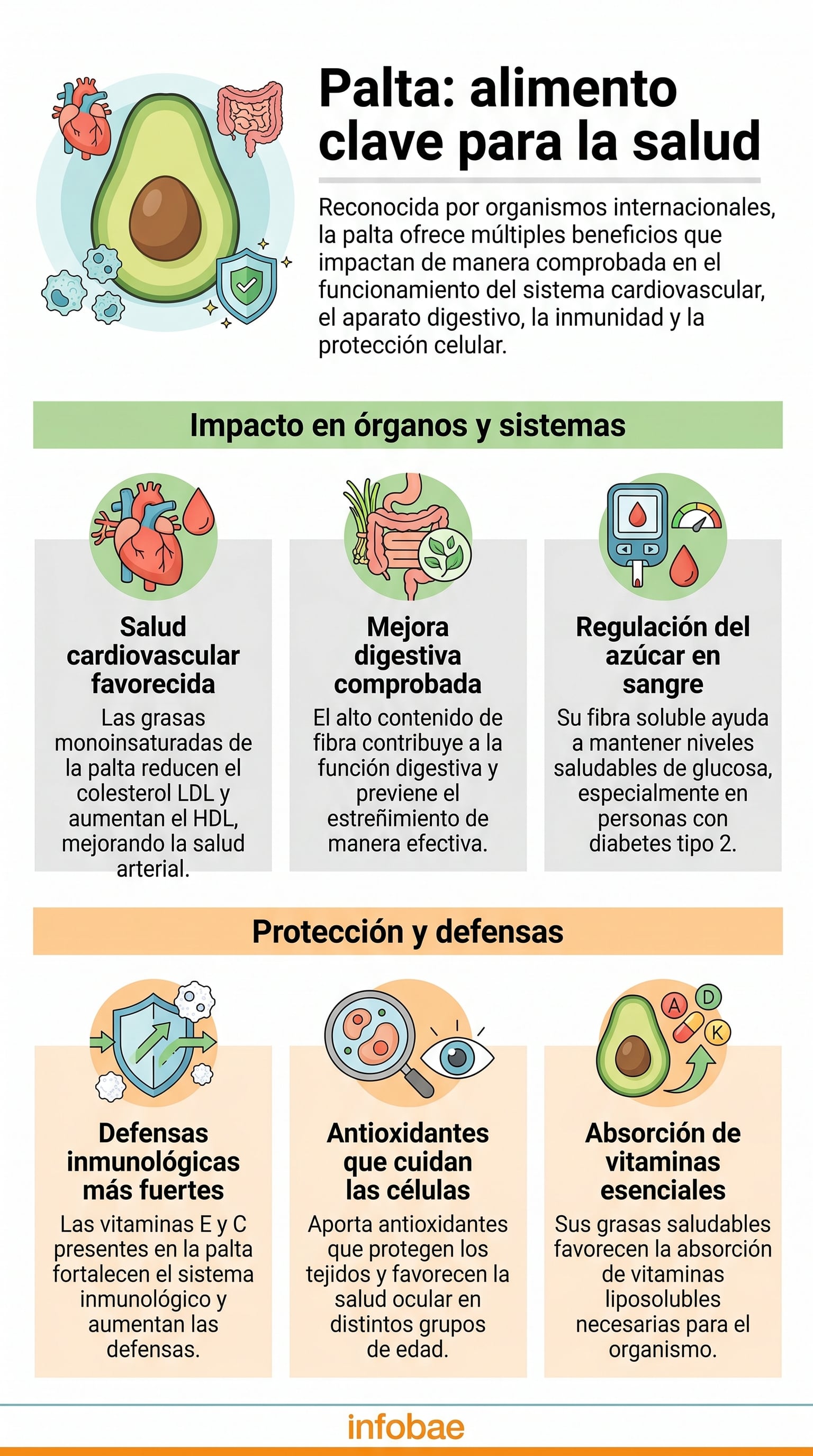 El consumo regular de palta ayuda a reducir el colesterol LDL y elevar el HDL, fortaleciendo la salud del corazón según la Asociación Estadounidense del Corazón (Imagen Ilustrativa Infobae)
