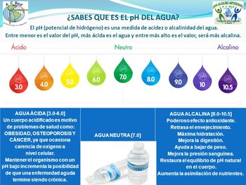 El pH (potencial de hidrógeno)