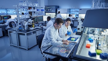 Transformando el horizonte de la