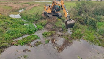 Una excavadora amarilla sobre orugas opera junto a un cauce con agua acumulada y vegetación en un terreno rural
