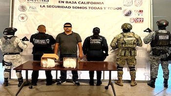 Más de 300 millones de pesos asegurados en droga