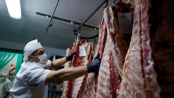 Gobierno Petro restringió la venta de ganado colombiano para estabilizar el precio de la carne: “Ese peso toca detenerlo”