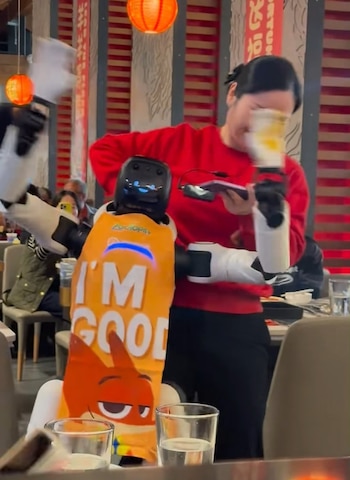 En las imágenes virales compartidas