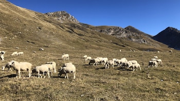 Un estudio coliderado por el