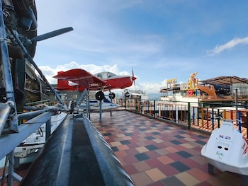 Así se ve la planta