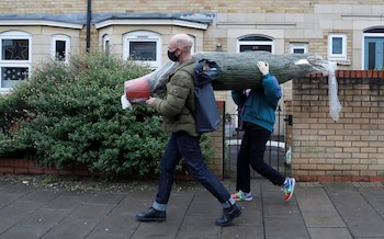Una familia carga un árbol
