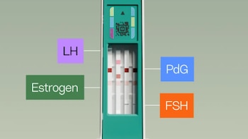 Los anticuerpos sintéticos de Inito,