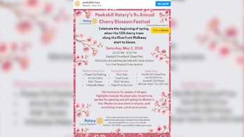 Un cartel promocional del Festival de los Cerezos en Flor de Peekskill Rotary con información del evento y ramas floridas rosadas