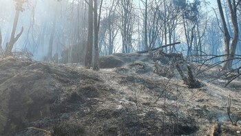 Debido a los incendios registrados