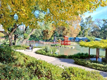 Origami Matsuri en el Jardín Japonés: talleres, muestra y shows en vivo durante agosto