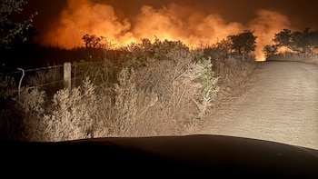El Infoca estabiliza un incendio forestal originado de madrugada en Alosno