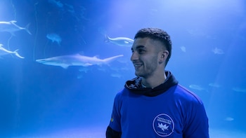 El Oceanogràfic de València pone el nombre de Ferran Torres a uno de sus tiburones grises
