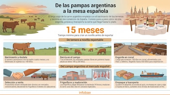 Infografía: vacas, terneros, ganado en engorde, acuerdo comercial, camión, frigorífico, cortes de carne, cajas, barco de carga. Paisaje campestre y urbano.