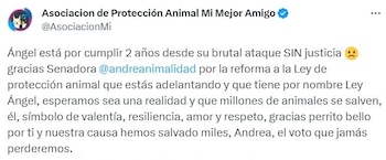 El caso de Ángel lleva