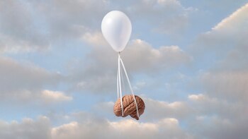 Cerebro