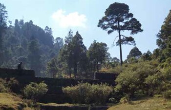 El parque Valle de las