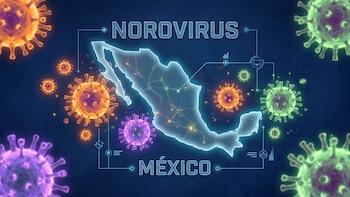 Norovirus en alerta: qué tan probable es que llegue a México y cuáles son sus síntomas