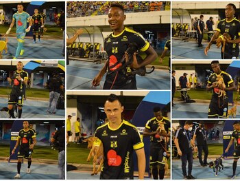 Imagen 5LOAU6JRGVCCFD7LHJ4YQAXBOE