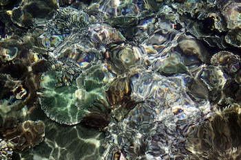 Imagen 5LOENSGX6ZCV5LNDOTSNP6K5BY